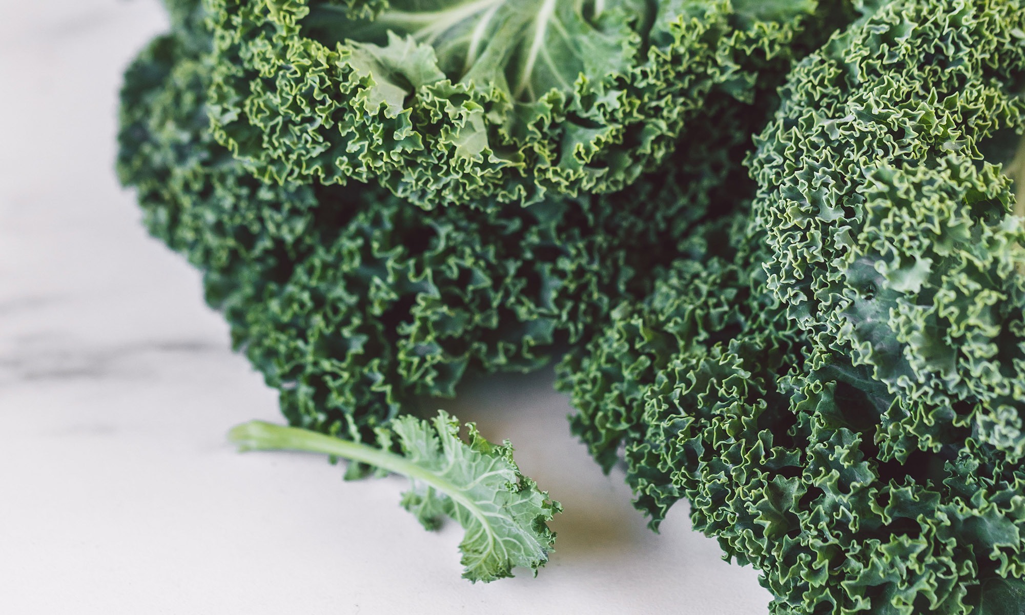 <p>¡Descubre 8 de las verduras más beneficiosas para tu salud!</p>